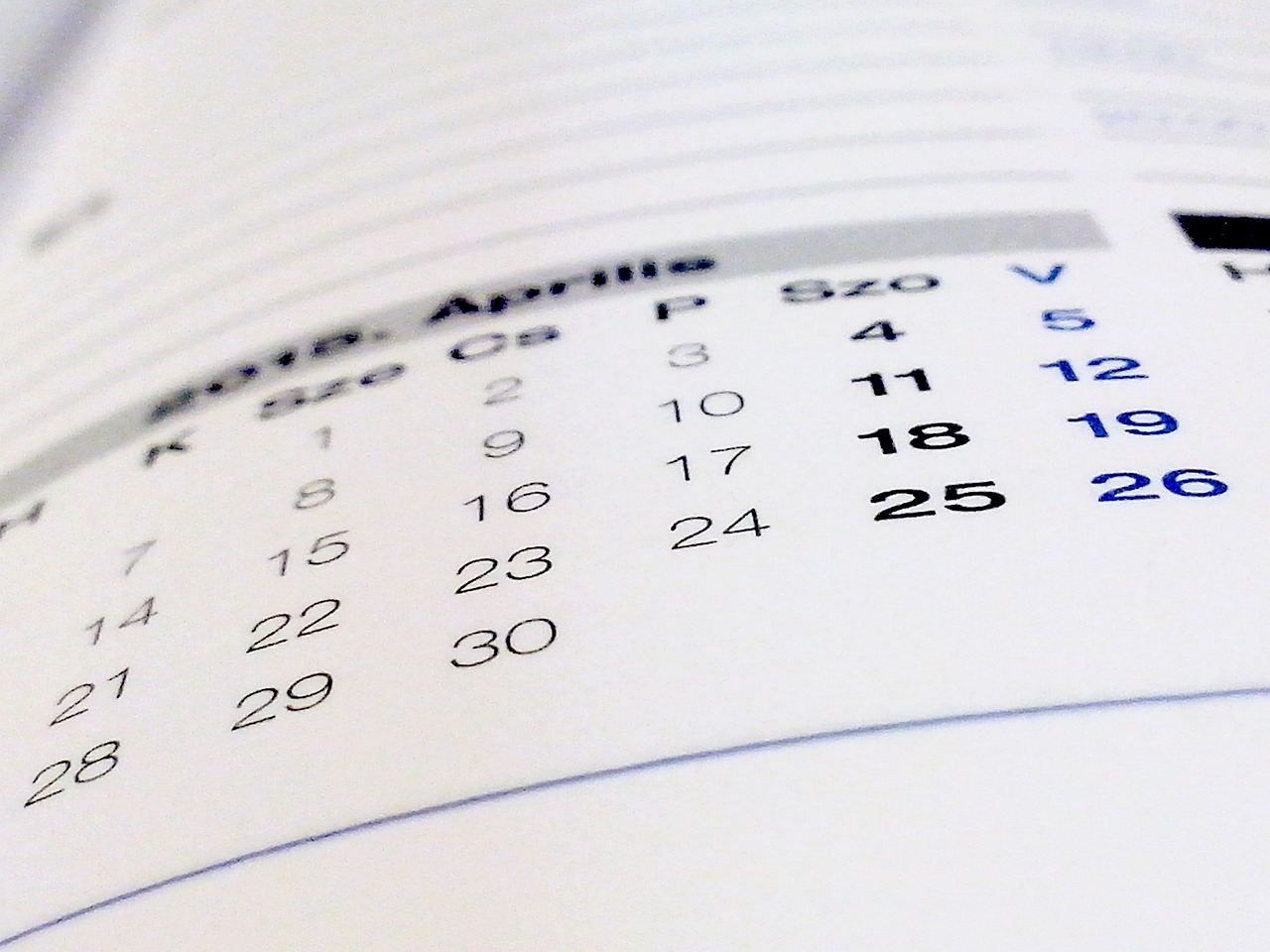 Calendario scolastico 2024/2025: conosci già tutti i ponti e le festività?